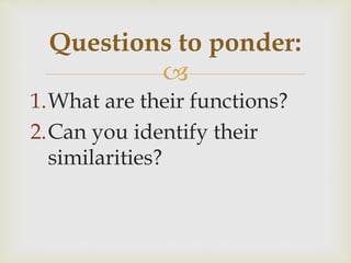 
1.What are their functions?
2.Can you identify their
similarities?
Questions to ponder:
 