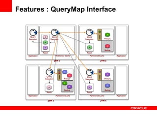 Features : QueryMap Interface 
