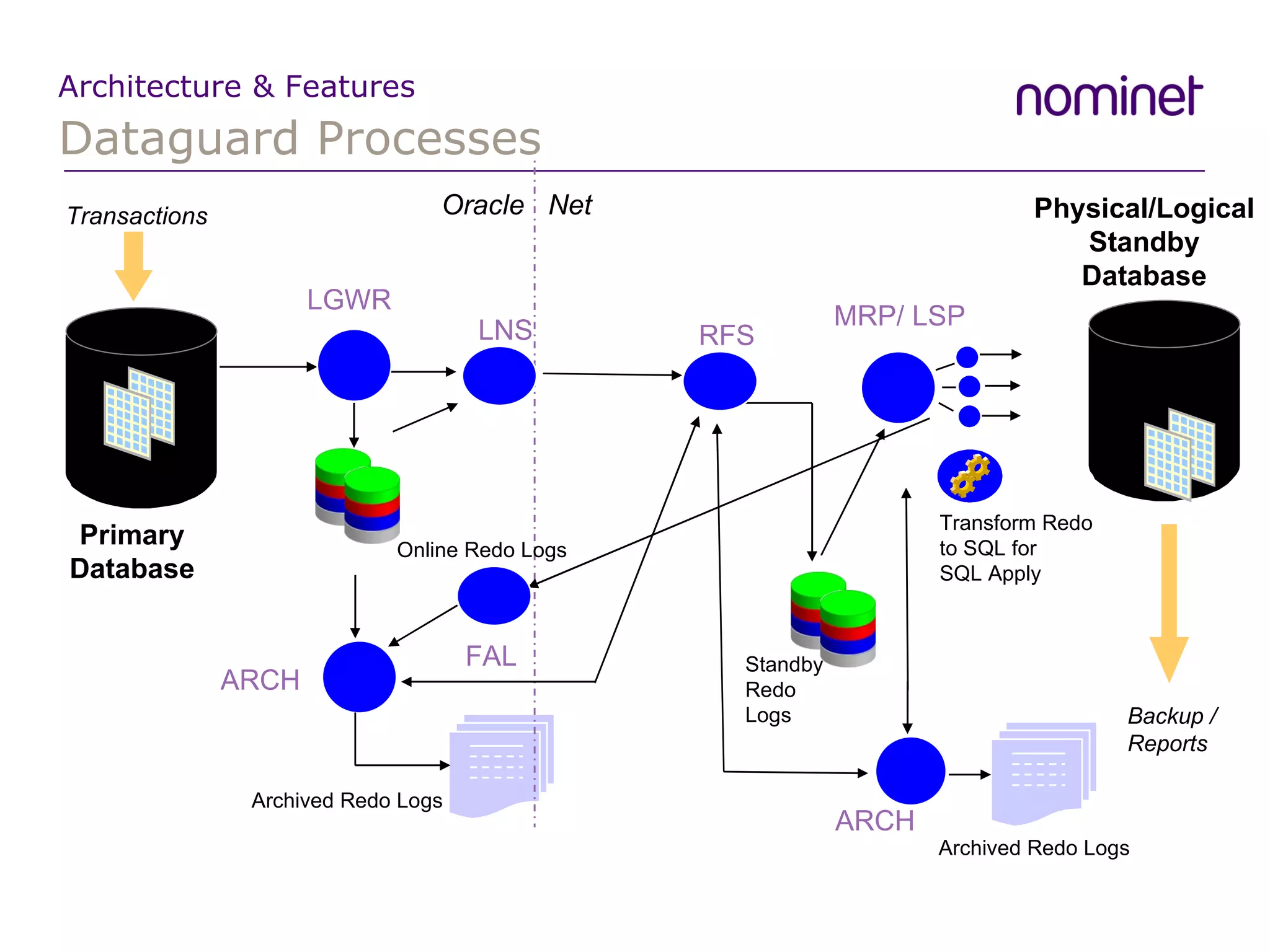 Dataguard Processes Architecture & Features Primary Database Transactions Physical/Logical  Standby Database Backup / Reports Transform Redo  to SQL for  SQL Apply MRP/ LSP ARCH Archived Redo Logs Archived Redo Logs ARCH Oracle  Net Standby Redo  Logs RFS FAL Online Redo Logs LGWR LNS 