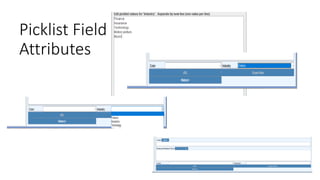 Picklist Field
Attributes
 