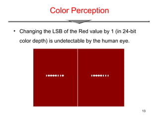 13
Color Perception
• Changing the LSB of the Red value by 1 (in 24-bit
color depth) is undetectable by the human eye.
 