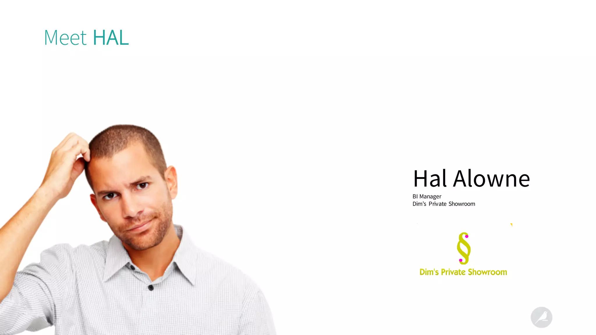 Meet HAL
Hal AlowneBI Manager
Dim’s Private Showroom
 