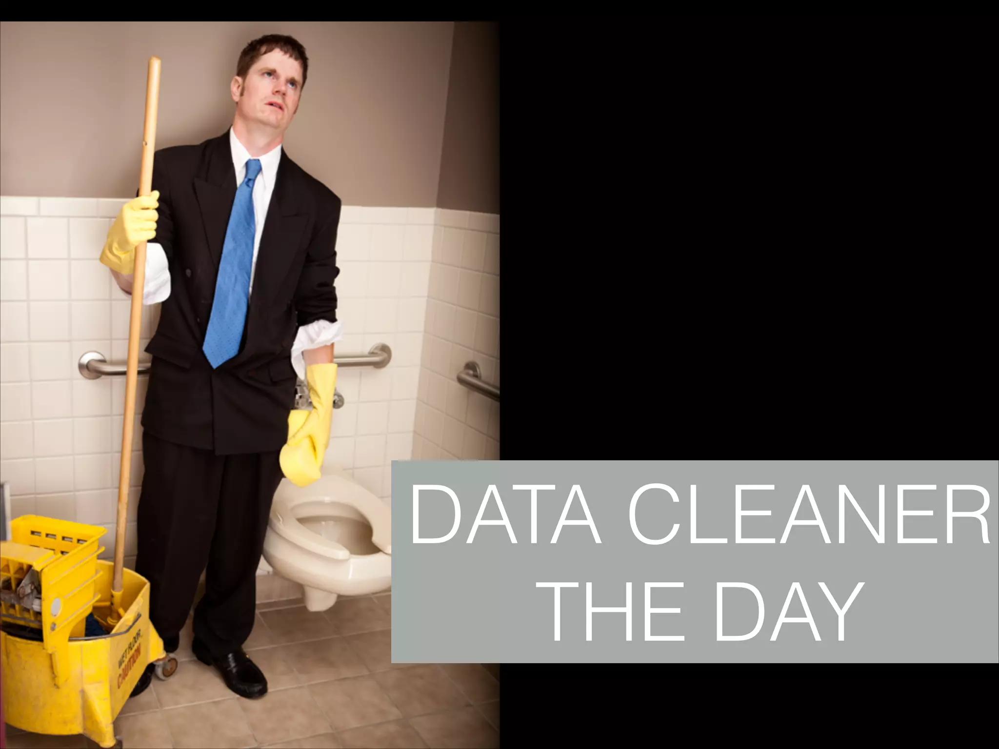 DATA CLEANER
THE DAY