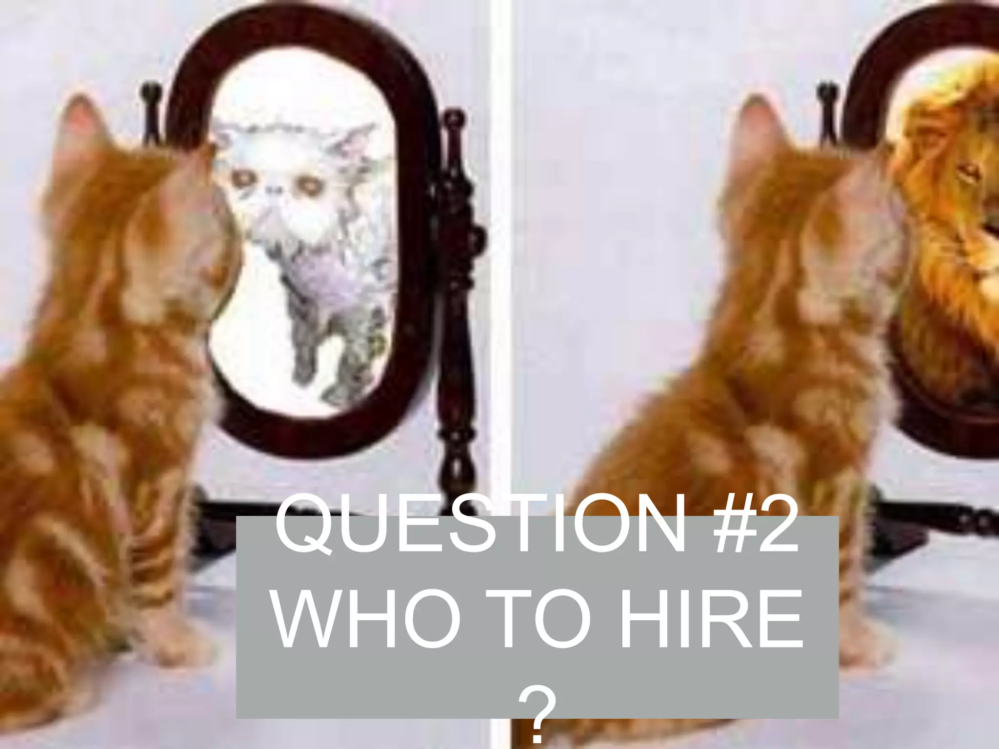 QUESTION #2
WHO TO HIRE
?

 