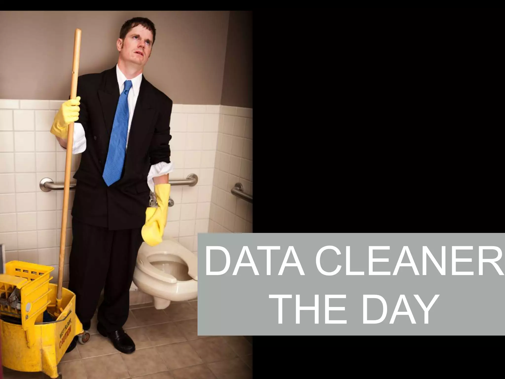 DATA CLEANER
THE DAY

 