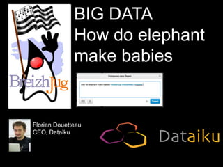 BIG DATA
How do elephant
make babies

Florian Douetteau
CEO, Dataiku

 