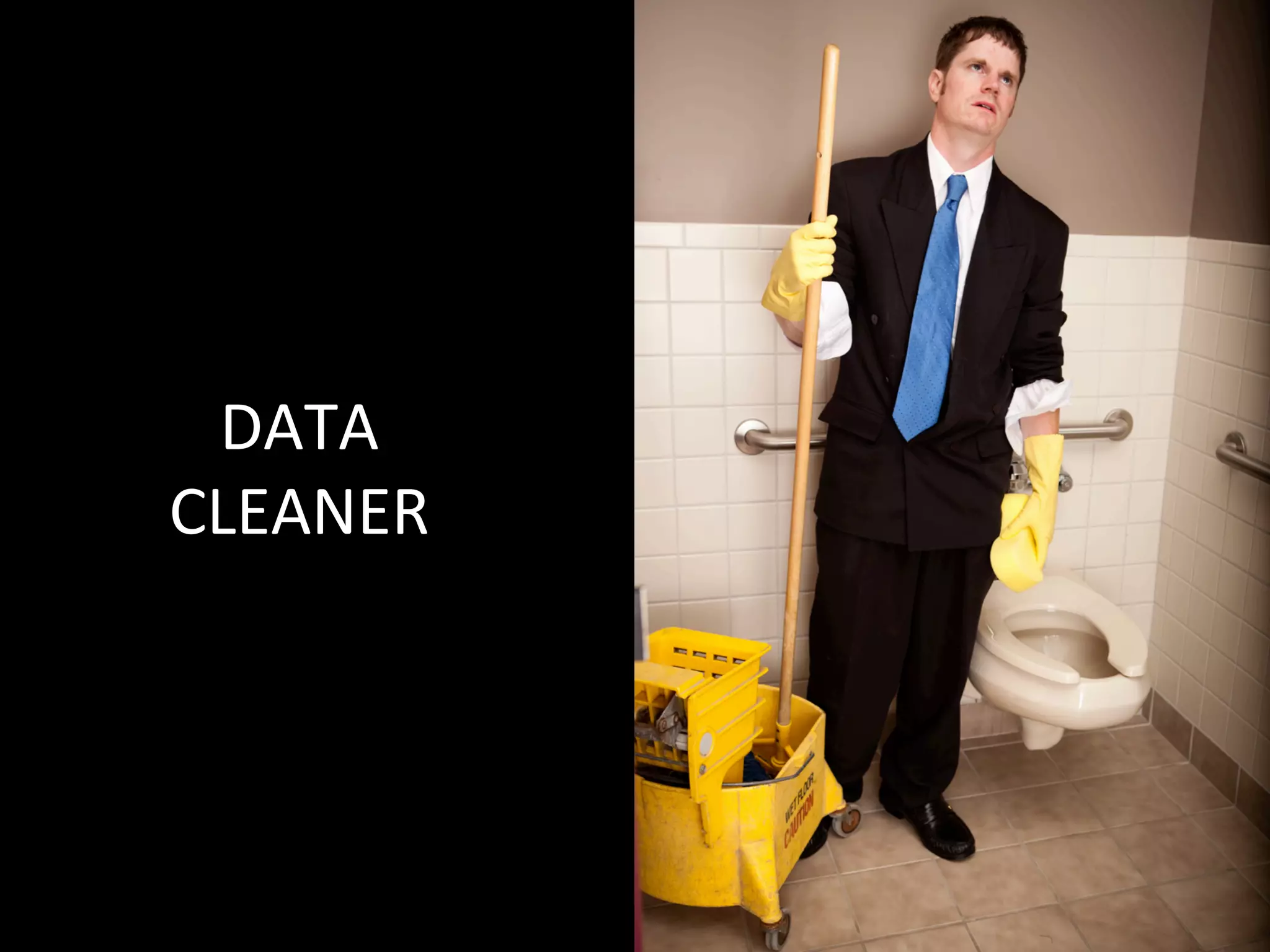 DATA	
  
CLEANER	
  
 