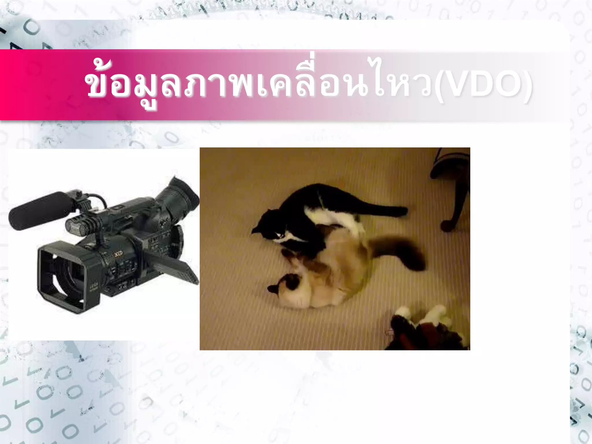 ข้อมูลภาพเคลื่อนไหว(VDO) 
 