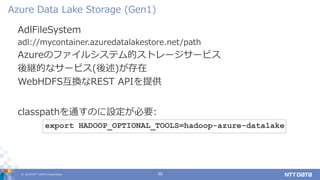 © 2019 NTT DATA Corporation 30
AdlFileSystem
adl://mycontainer.azuredatalakestore.net/path
Azureのファイルシステム的ストレージサービス
後継的なサービス(後述)が存在
WebHDFS互換なREST APIを提供
Azure Data Lake Storage (Gen1)
export HADOOP_OPTIONAL_TOOLS=hadoop-azure-datalake
classpathを通すのに設定が必要:
 