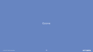 © 2019 NTT DATA Corporation 48
Ozone
 