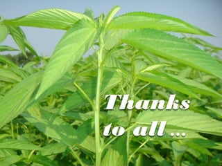 Thanks
to all …
 