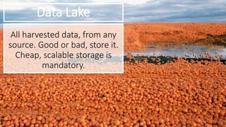 Data Lake
All harvested data, from any
source. Good or bad, store it.
Cheap, scalable storage is
mandatory.
 