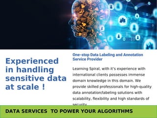 Data labeling company | Learning Spiral AI | PPT