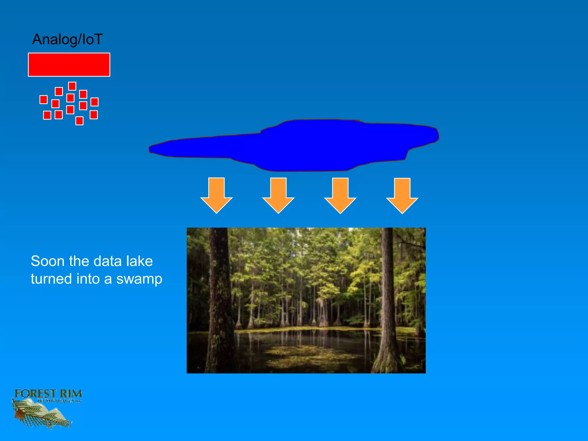 Analog/IoT
Soon the data lake
turned into a swamp
 