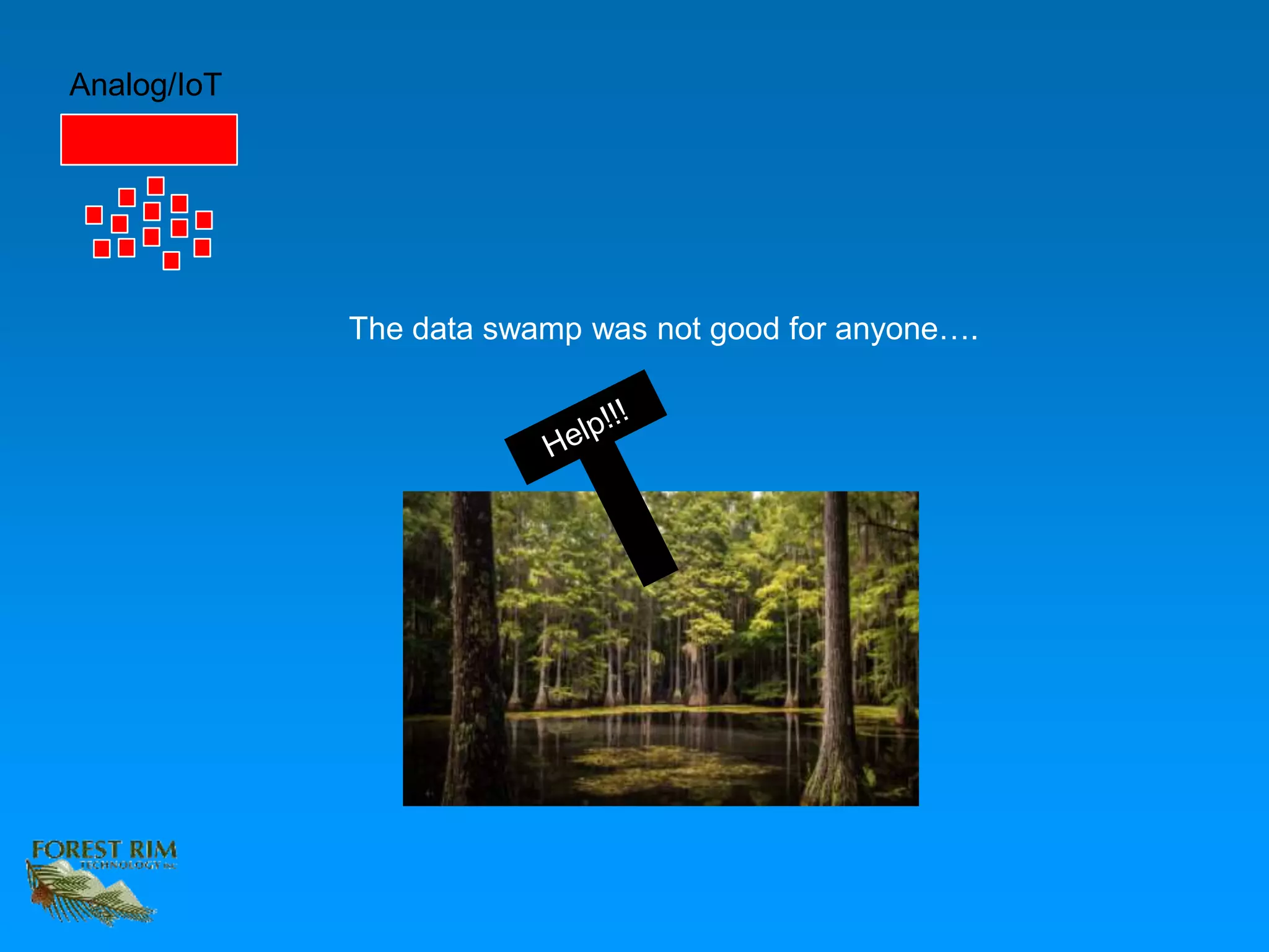 Analog/IoT
The data swamp was not good for anyone….
 