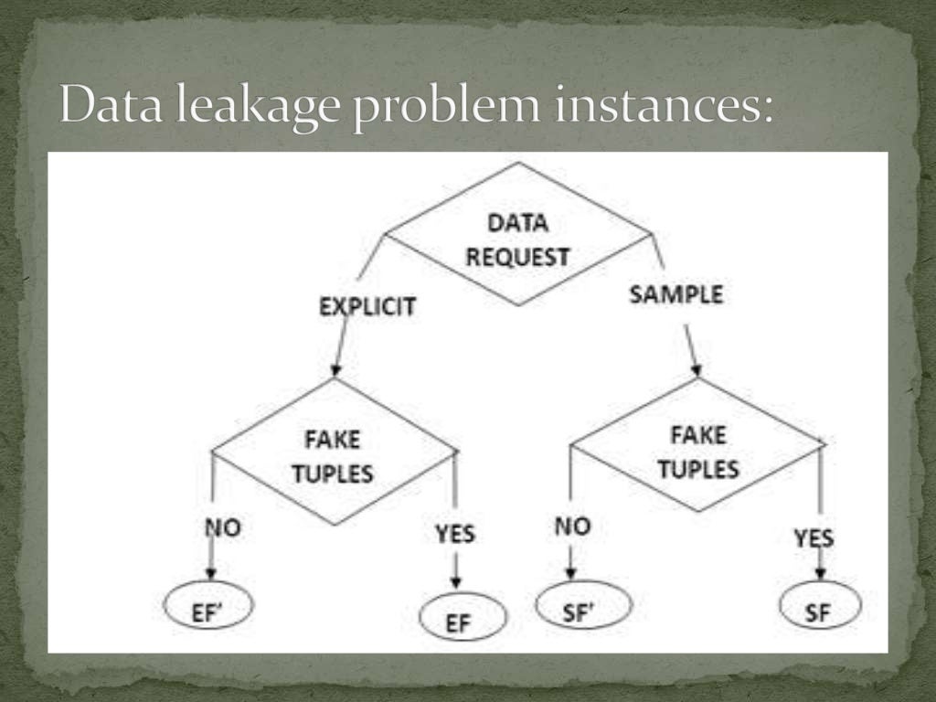 Data leakage detection