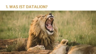 1. WAS IST DATALION?
 