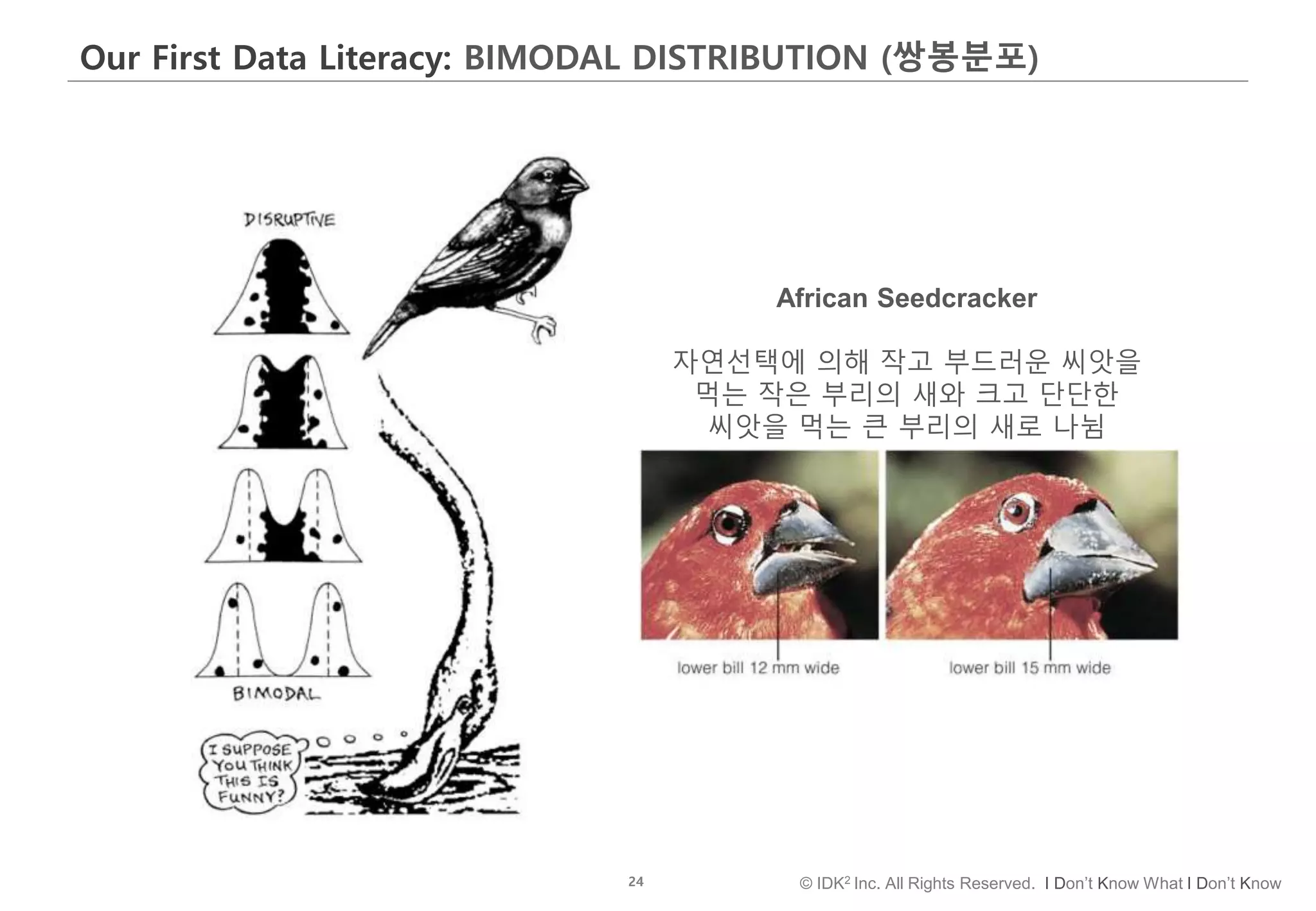 24 © IDK2 Inc. All Rights Reserved. I Don’t Know What I Don’t Know
Our First Data Literacy: BIMODAL DISTRIBUTION (쌍봉분포)
African Seedcracker
자연선택에 의해 작고 부드러운 씨앗을
먹는 작은 부리의 새와 크고 단단한
씨앗을 먹는 큰 부리의 새로 나뉨
 