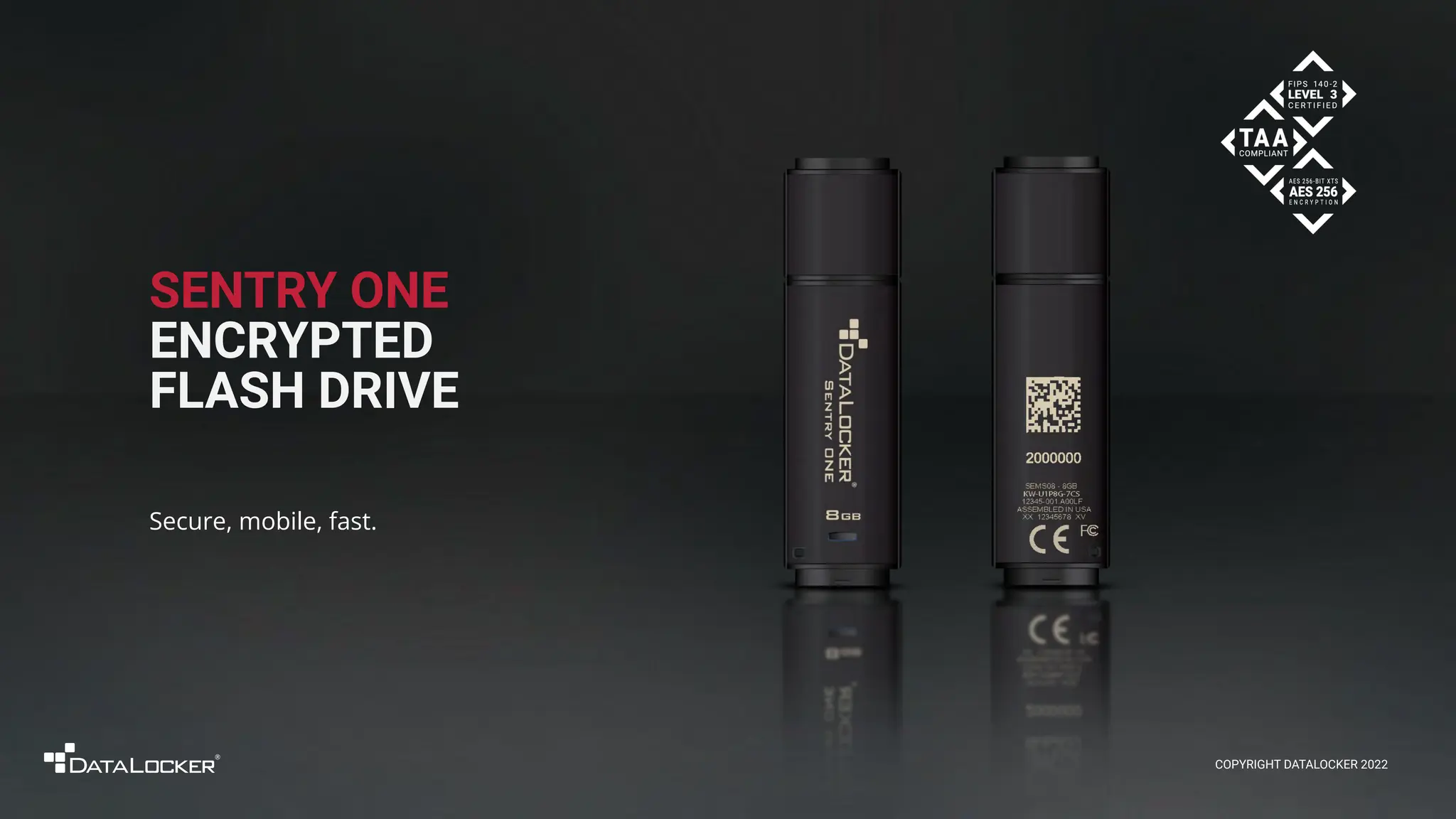 SENTRY ONE
ENCRYPTED
FLASH DRIVE
Secure, mobile, fast.
COPYRIGHT DATALOCKER 2022
 