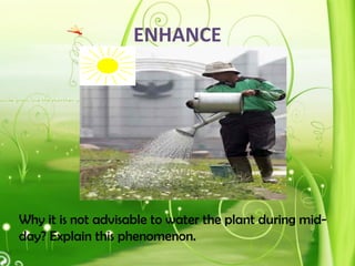 ENHANCE
Why it is not advisable to water the plant during mid-
day? Explain this phenomenon.
 