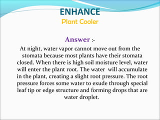 ENHANCE
Plant Cooler
Answer :-
At night, water vapor cannot move out from the
stomata because most plants have their stomata
closed. When there is high soil moisture level, water
will enter the plant root. The water will accumulate
in the plant, creating a slight root pressure. The root
pressure forces some water to exude through special
leaf tip or edge structure and forming drops that are
water droplet.
 