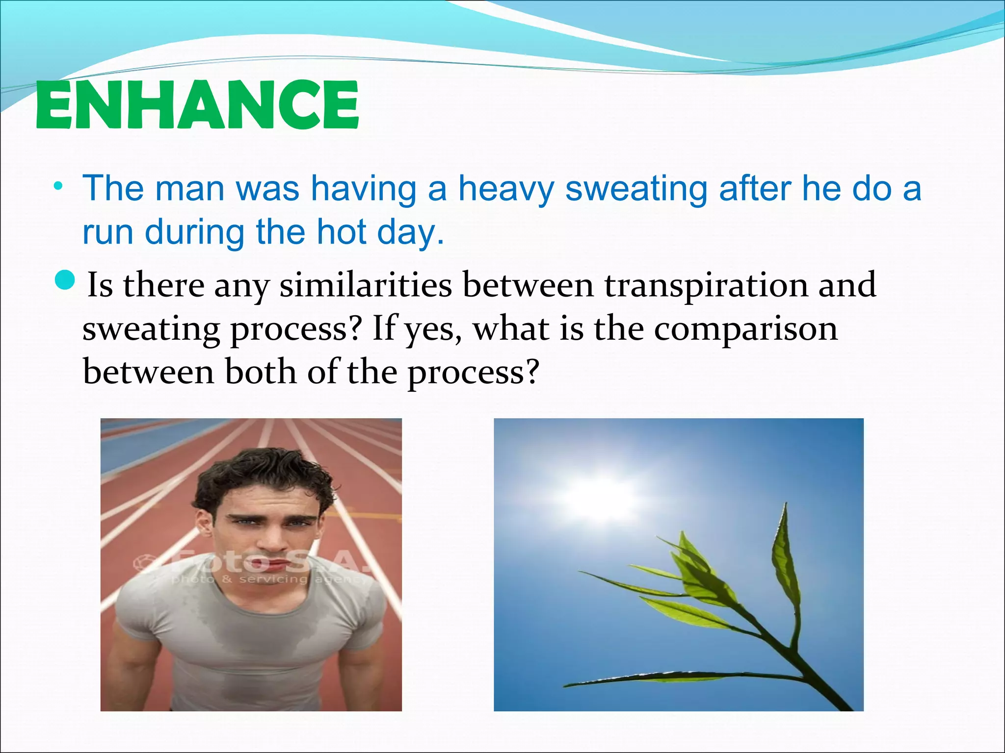 ENHANCE
• The man was having a heavy sweating after he do a
run during the hot day.
Is there any similarities between transpiration and
sweating process? If yes, what is the comparison
between both of the process?
 