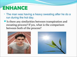 ENHANCE
• The man was having a heavy sweating after he do a
run during the hot day.
Is there any similarities between transpiration and
sweating process? If yes, what is the comparison
between both of the process?
 