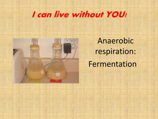 Anaerobic
respiration:
Fermentation
I can live without YOU!
 
