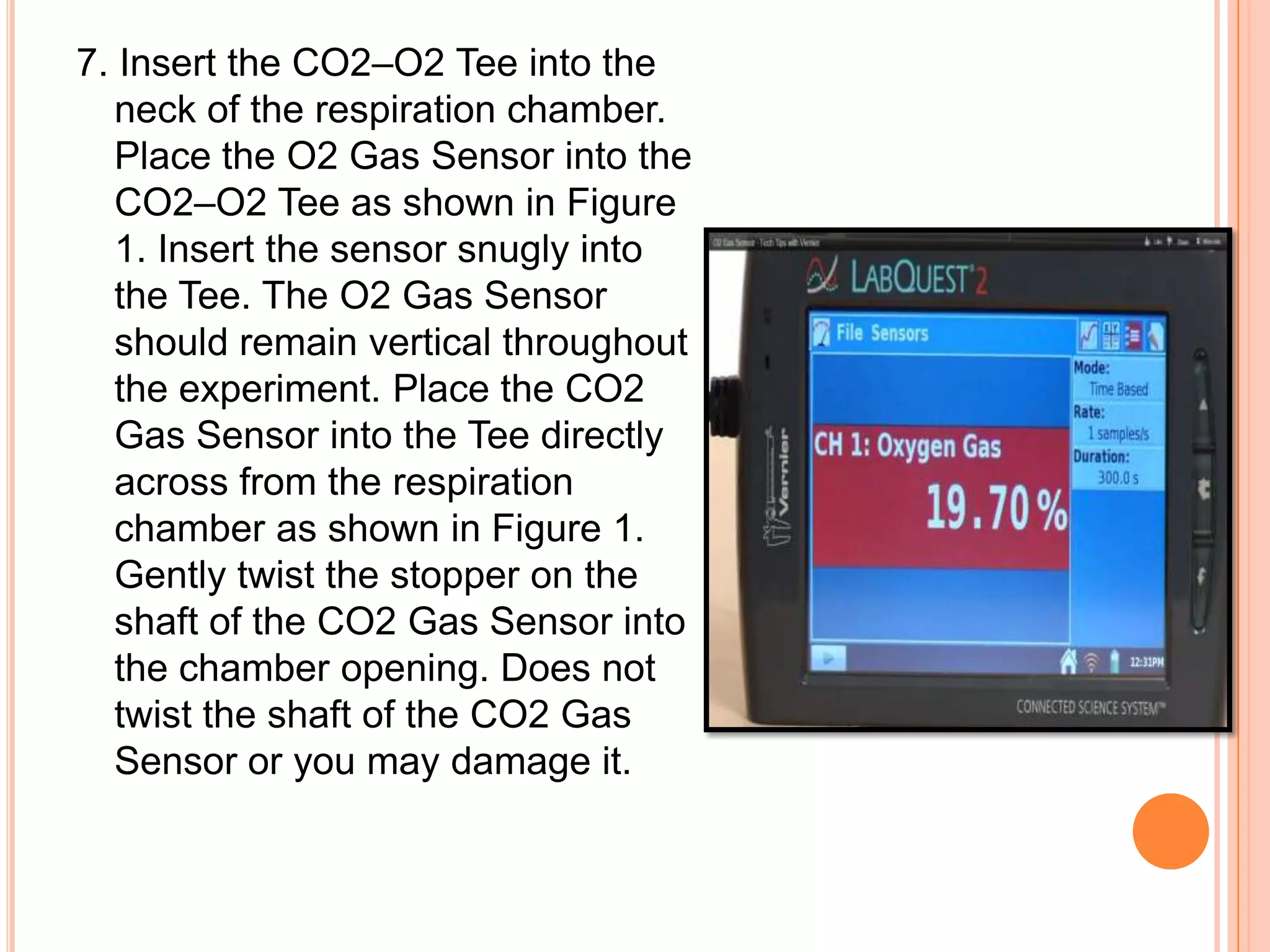 7. Insert the CO2–O2 Tee into the
   neck of the respiration chamber.
   Place the O2 Gas Sensor into the
   CO2–O2 Tee as shown in Figure
   1. Insert the sensor snugly into
   the Tee. The O2 Gas Sensor
   should remain vertical throughout
   the experiment. Place the CO2
   Gas Sensor into the Tee directly
   across from the respiration
   chamber as shown in Figure 1.
   Gently twist the stopper on the
   shaft of the CO2 Gas Sensor into
   the chamber opening. Does not
   twist the shaft of the CO2 Gas
   Sensor or you may damage it.
 
