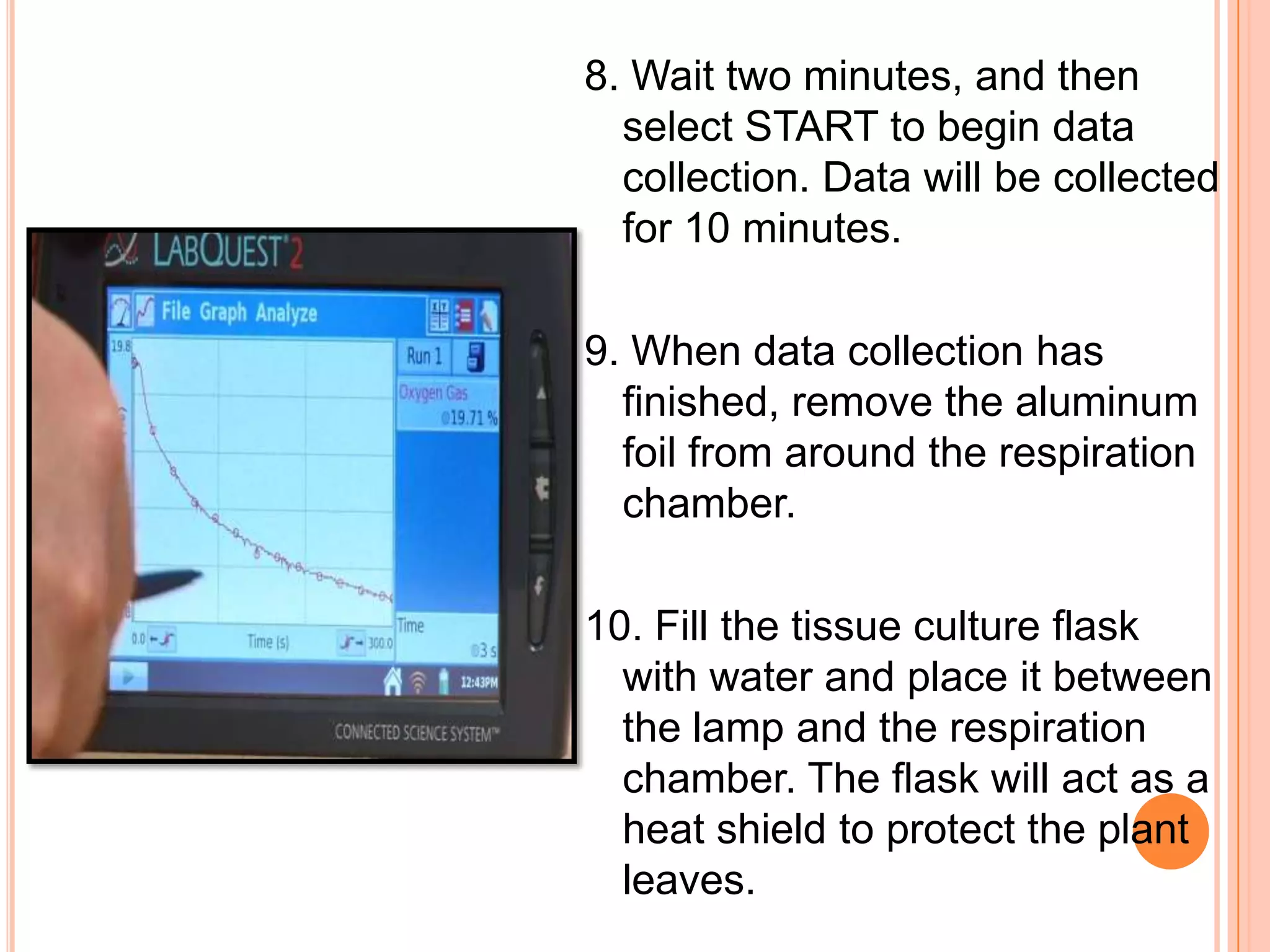 8. Wait two minutes, and then
  select START to begin data
  collection. Data will be collected
  for 10 minutes.

9. When data collection has
  finished, remove the aluminum
  foil from around the respiration
  chamber.

10. Fill the tissue culture flask
  with water and place it between
  the lamp and the respiration
  chamber. The flask will act as a
  heat shield to protect the plant
  leaves.
 