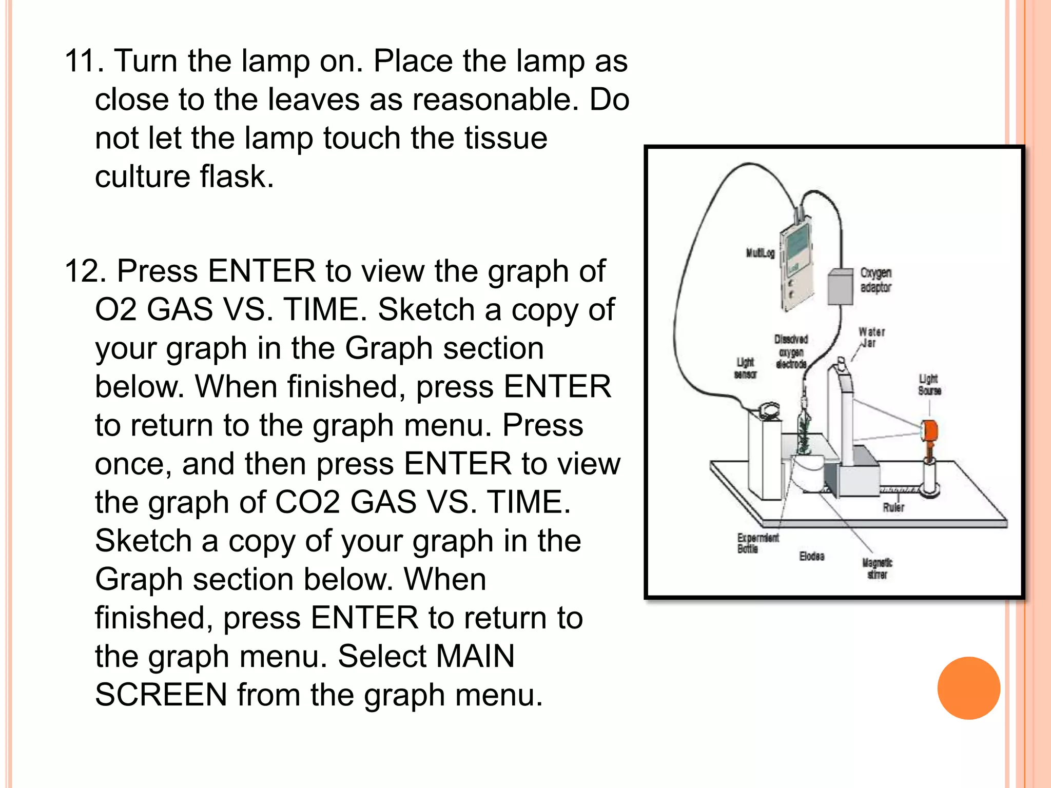 11. Turn the lamp on. Place the lamp as
  close to the leaves as reasonable. Do
  not let the lamp touch the tissue
  culture flask.

12. Press ENTER to view the graph of
  O2 GAS VS. TIME. Sketch a copy of
  your graph in the Graph section
  below. When finished, press ENTER
  to return to the graph menu. Press
  once, and then press ENTER to view
  the graph of CO2 GAS VS. TIME.
  Sketch a copy of your graph in the
  Graph section below. When
  finished, press ENTER to return to
  the graph menu. Select MAIN
  SCREEN from the graph menu.
 