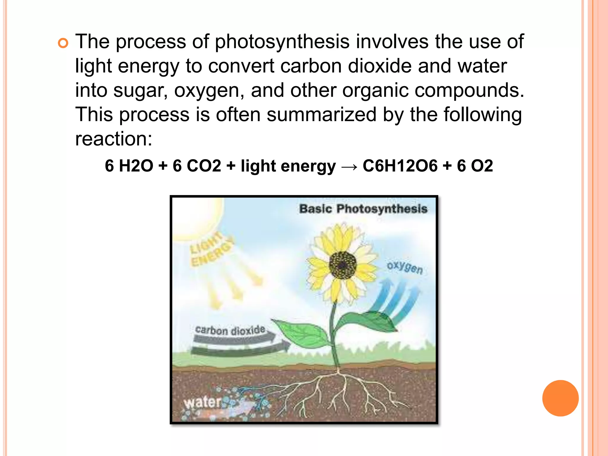    The process of photosynthesis involves the use of
    light energy to convert carbon dioxide and water
    into sugar, oxygen, and other organic compounds.
    This process is often summarized by the following
    reaction:
       6 H2O + 6 CO2 + light energy → C6H12O6 + 6 O2
 