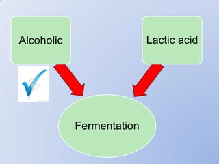 Alcoholic                  Lactic acid




            Fermentation
 