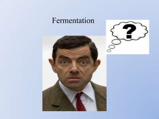 Fermentation
 