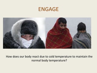 ENGAGE




How does our body react due to cold temperature to maintain the
                 normal body temperature?
 