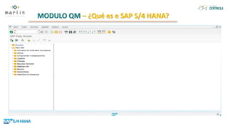 MODULO QM – ¿Qué es e SAP S/4 HANA?
 