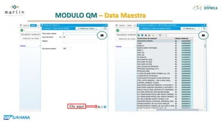 MODULO QM – Data Maestra
Clic aquí
 