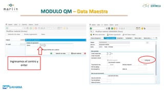 MODULO QM – Data Maestra
Ingresamos el centro y
enter
 