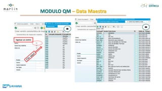MODULO QM – Data Maestra
Ingresar un centro
 
