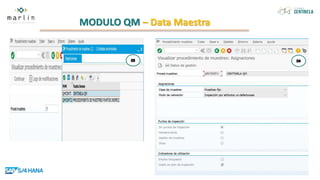 MODULO QM – Data Maestra
 