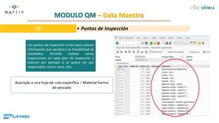 MODULO QM – Data Maestra
Los puntos de inspección sirven para colocar
información que ayudará a la trazabilidad de
resultados. Permite realizar varias
inspecciones en cada plan de inspección y
ordenar por ejemplo si se quiere ver por
responsable, turno, hora, lote
Asociado a una hoja de ruta especifica – Material harina
de pescado
• Puntos de Inspección
06
 
