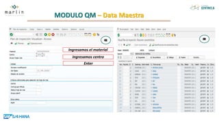 MODULO QM – Data Maestra
Ingresamos el material
Ingresamos centro
Enter
 