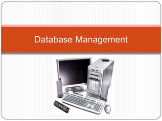 Database Management
 