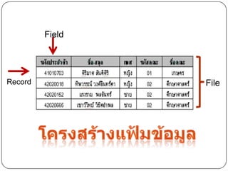 Field




Record           File
 