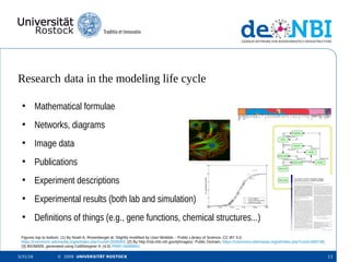 Data and model management in Systems Biology | PDF