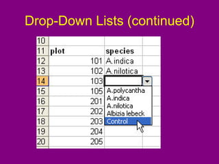 Drop-Down Lists (continued)
 