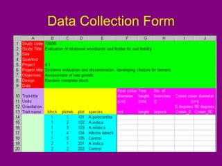 Data Collection Form
 