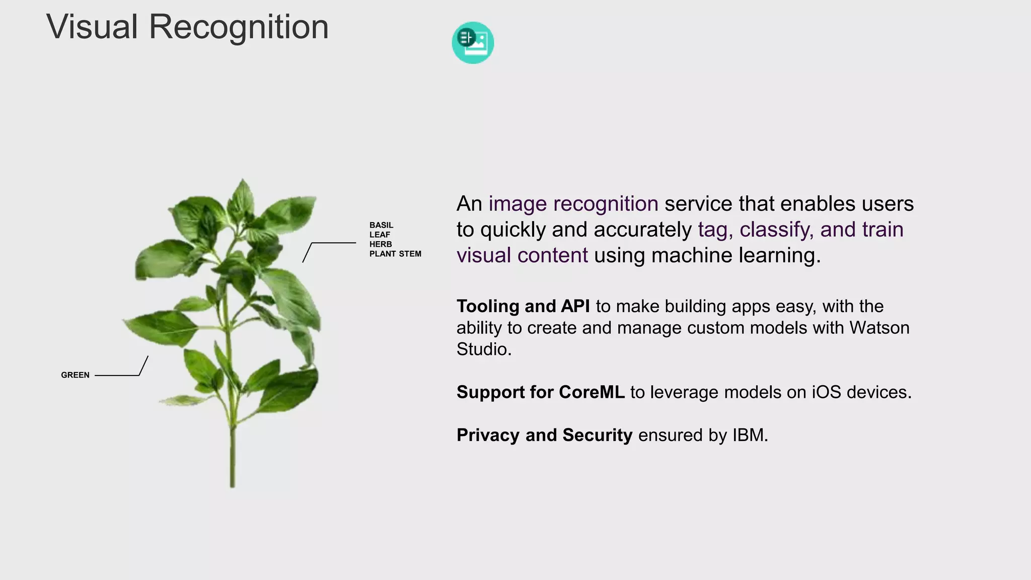 Tooling and API to make building apps easy, with the
ability to create and manage custom models with Watson
Studio.
Support for CoreML to leverage models on iOS devices.
Privacy and Security ensured by IBM.
An image recognition service that enables users
to quickly and accurately tag, classify, and train
visual content using machine learning.
BASIL
LEAF
HERB
PLANT STEM
GREEN
Visual Recognition
 