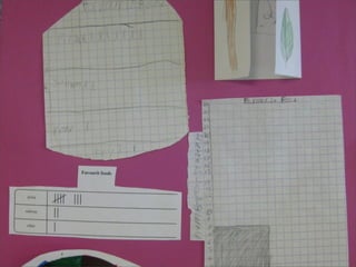 Gr 4 Data Management Projects