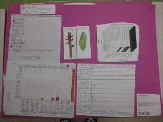 Gr 4 Data Management Projects
